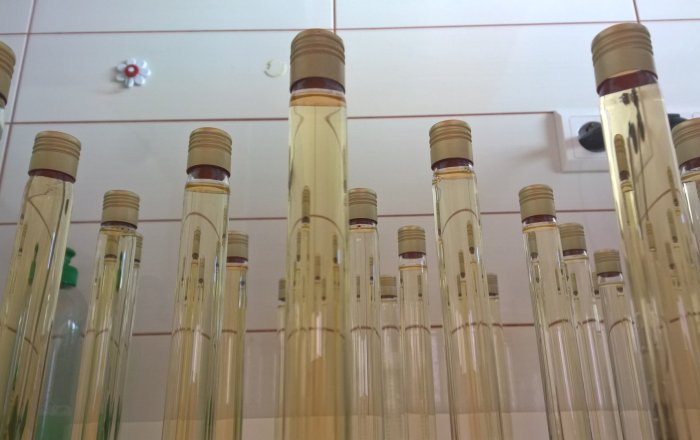 Sezonska ponuda do 31.5.2026.